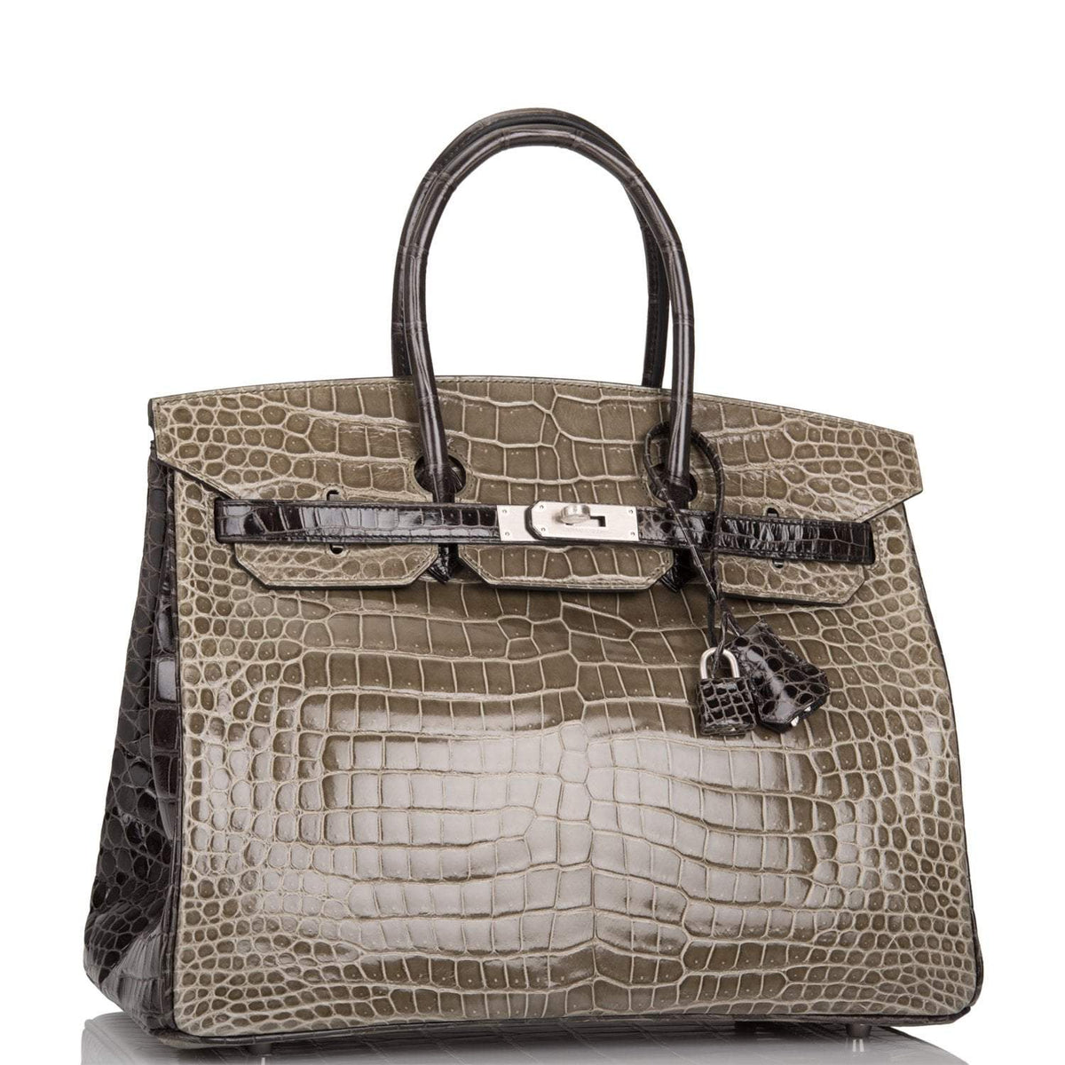 Hermes Birkin 35cm Bi-Color Gris Tourterelle and Graphite Shiny Porosus Crocodile Brushed Palladium Hardware