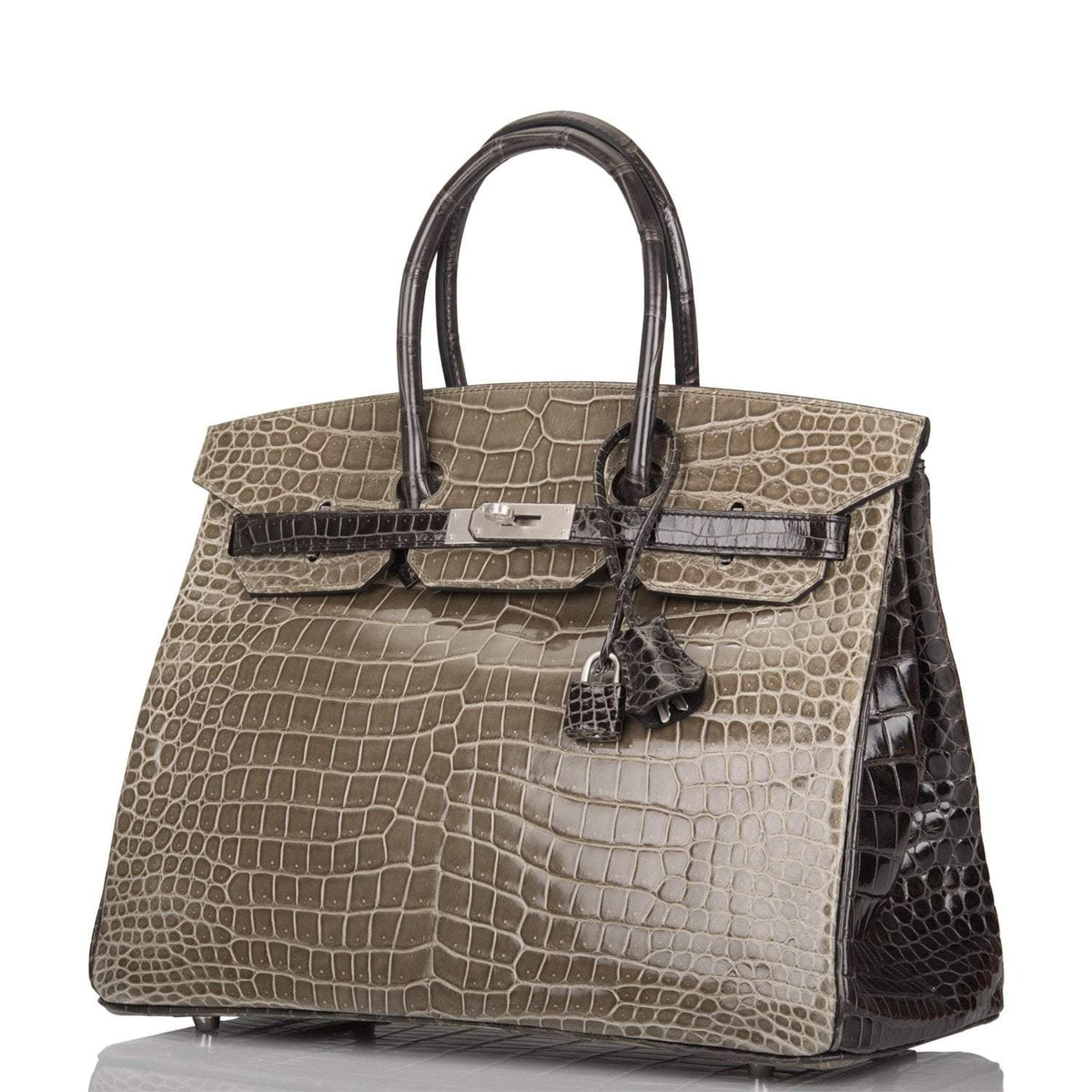 Hermes Birkin 35cm Bi-Color Gris Tourterelle and Graphite Shiny Porosus Crocodile Brushed Palladium Hardware
