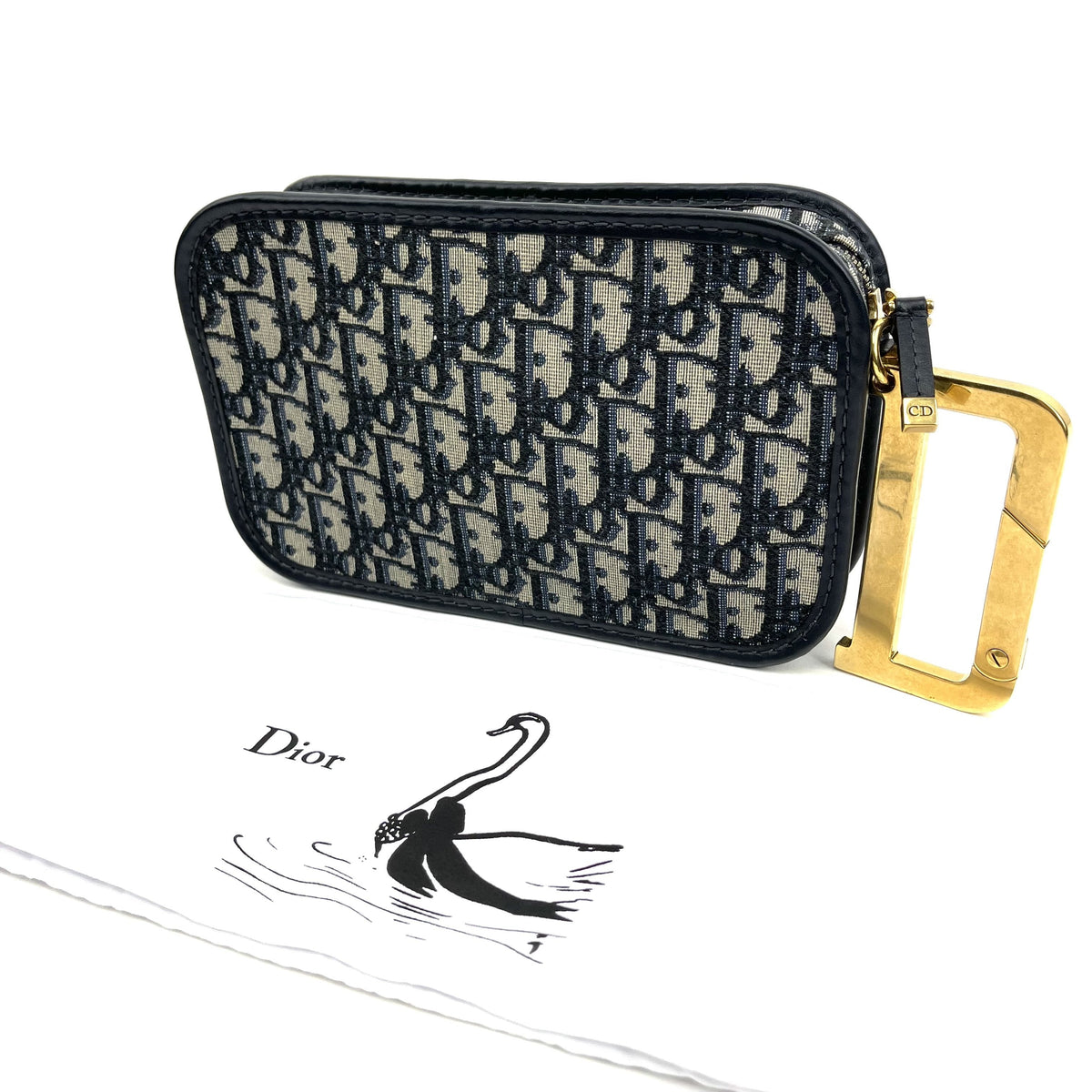 CHRISTIAN DIOR 2019 Oblique Diorquake Pouch